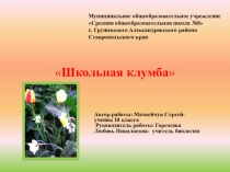 Презентация по биологииШкольная клумба