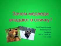 Презентация по окружающему миру на тему Зачем медведи впадают в спячку?(4 класс)