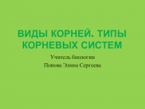 Виды корней и типы корневых систем