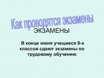 Презентация по столярному делу на тему Подготовка выпускников школы к экзамену(9 класс).