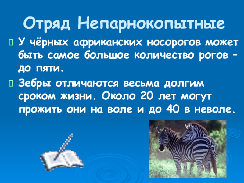 Отряд непарнокопытные презентация