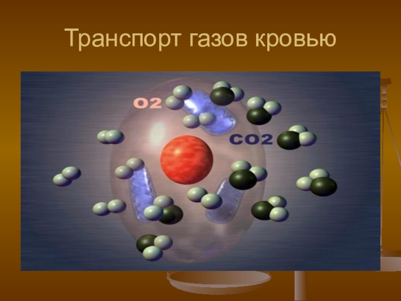 Транспорт газов. Транспортировка газов кровью. Транспорт газов кровью, его механизмы. Транспорт дыхательных газов кровью. Транспортировка газа в крови.