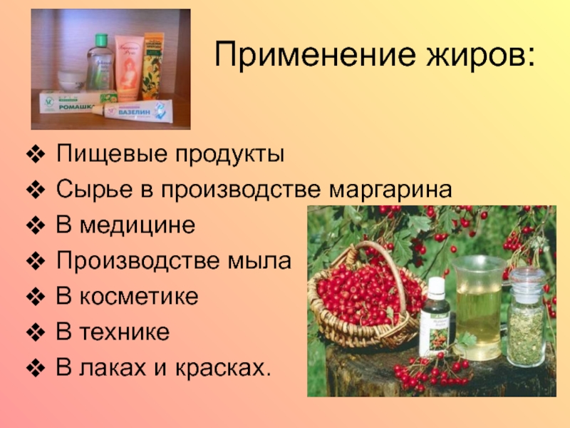 Проект жиры как продукт питания и химическое сырье