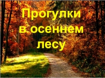 Приключения ребят в осеннем лесу (Осенние прогулки)