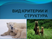 Презентация по биологии на тему: Вид:критерии и структура