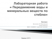 Презентация по биологии на тему Лабораторная работа