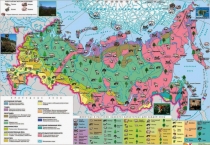 Презентация Кто, где живет?