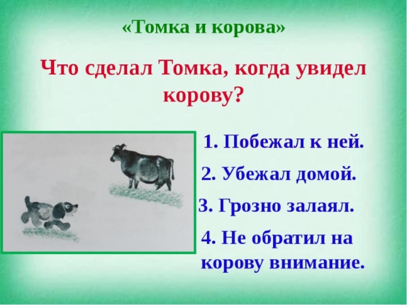 Е чарушин как томка научился плавать презентация