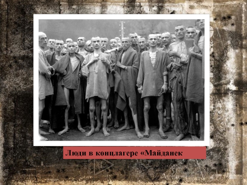 Люди в концлагере «Майданек
