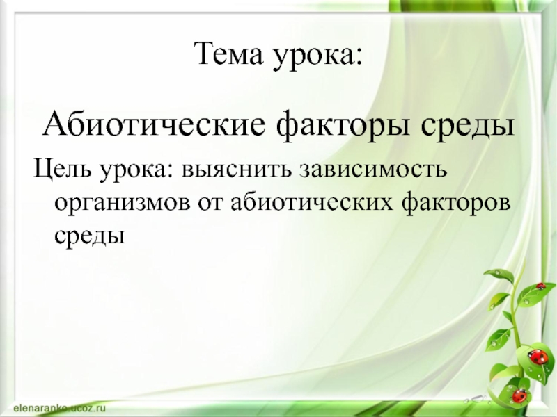 Абиотические факторы среды 11 класс. Абиотические факторы презентация 11 класс.