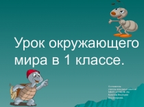 Презентация к уроку окружающего мира Зачем нужны поезда( 1 класс)