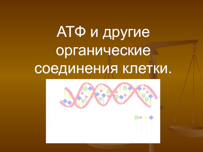 Презентация на тему атф и другие органические соединения клетки