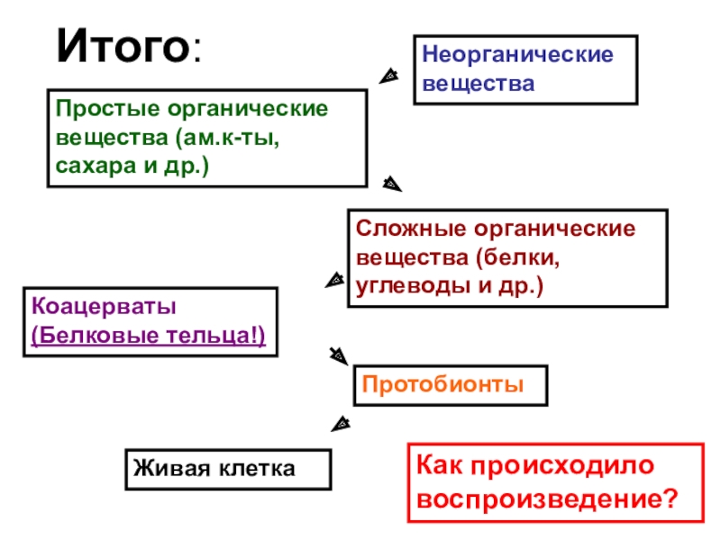 Сложные органические вещества. Сложные и простые органические вещества. Формирование и Эволюция пробионтов. Коацерваты это в биологии. Протобионты это в биологии.