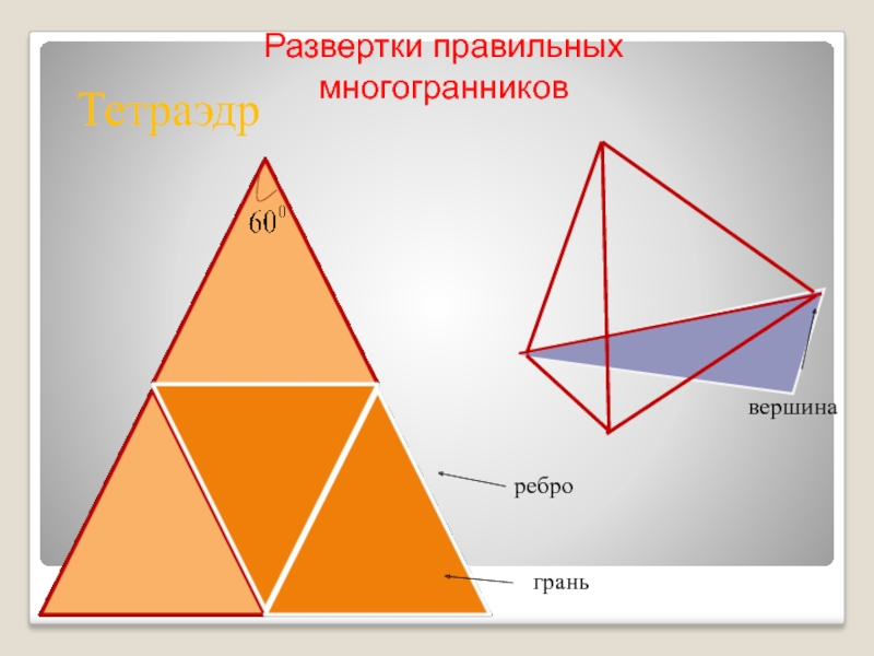 Многогранники вершины ребра грани диагонали. Вершины ребра грани многогранника. Тетраэдр развертка. Многогранник тетраэдр развертка. Развертка правильного тетраэдра.