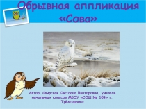 Презентация по технологии на тему Обрывная аппликация Сова