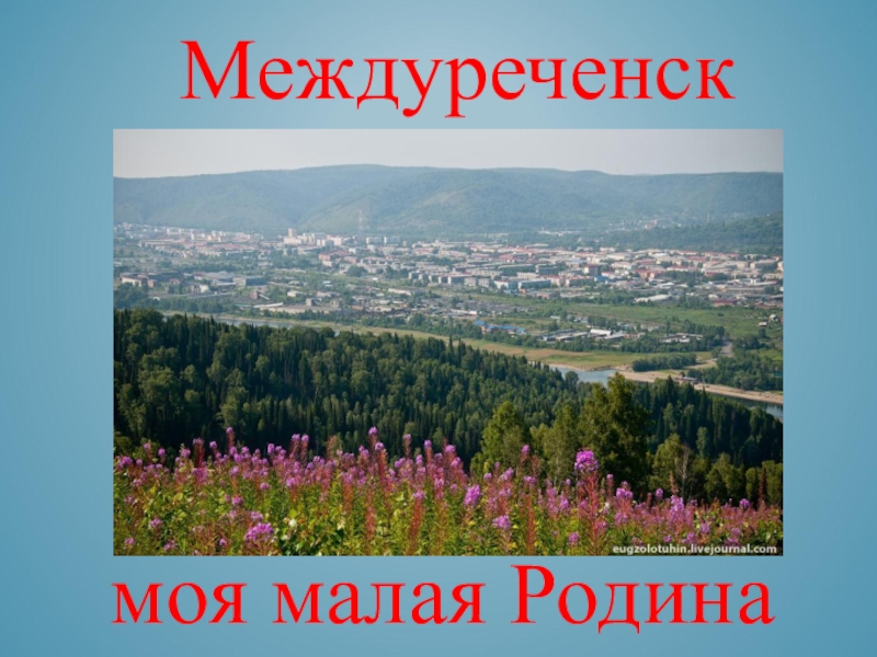 Весь мир междуреченск