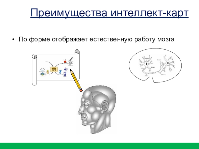 По форме отображает естественную работу мозгаПреимущества интеллект-карт