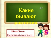 Презентация по окружающему миру на тему  Какие бывают растения