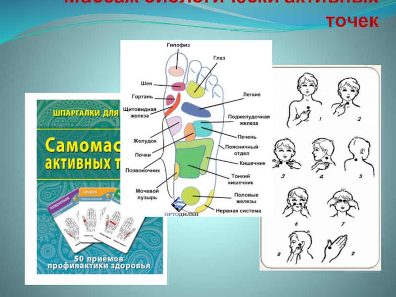 Точка здоровья. Массаж биологически активных точек. Воздействие на биологически активные точки. Самомассаж биологически активных точек. Биологически активные точки схема.