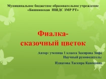 Фиалка-сказочный цветок