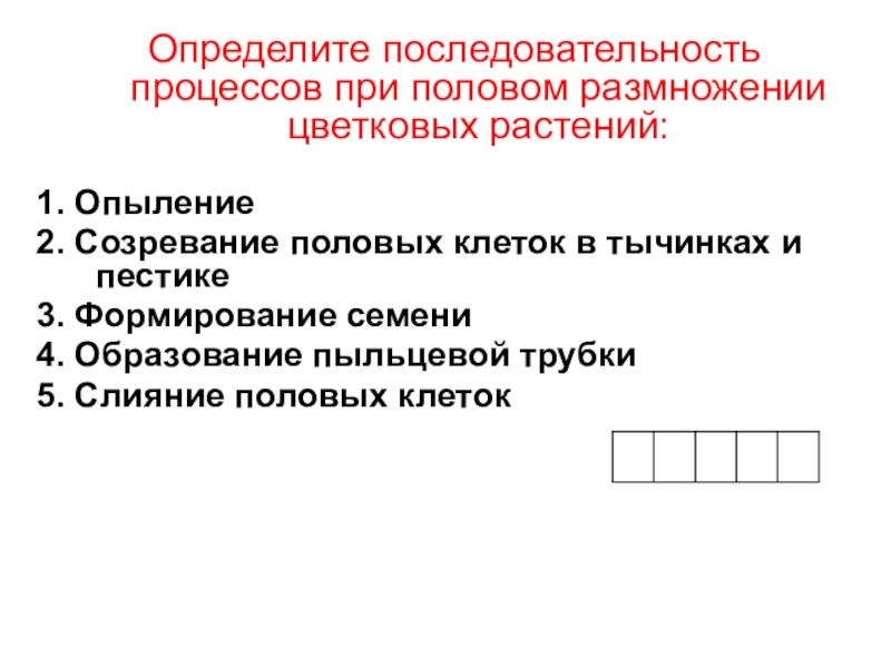 жизненный цикл одноклеточных водорослей схема. процесс полового размножения хламидомонады. укажите правильную последовательность процесса полового размножения. овогенез 2) сперматогенез. жизненный цикл хламидомонады рисунок.