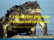 Презентация к уроку окружающего мираКрасная книга