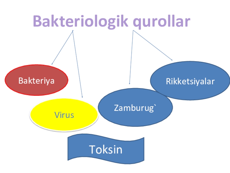 Презентация по химии Бактериологик куроллар (9 класс) (на Узбекском языке)