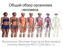 Презентация по биологии Общий обзор организма человека.