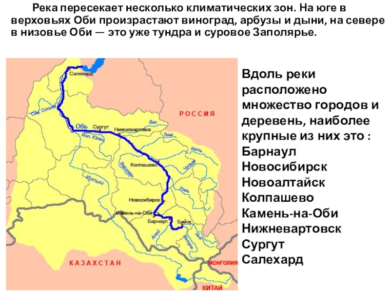 Река пересекает несколько климатических зон. На юге в верховьях Оби произрастают виноград,