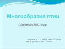 Презентация по окружающему миру на тему Многообразие птиц (1 класс)