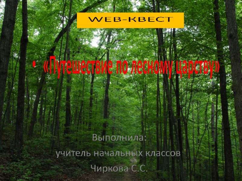WEB-квест по окружающему миру Путешествие по лесному царству (Леса Липецкой области)
