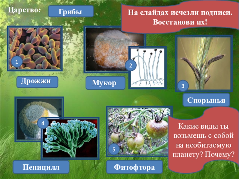 Биология 5 класс презентации