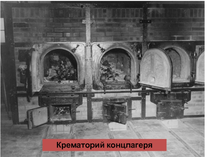 Крематорий концлагеря