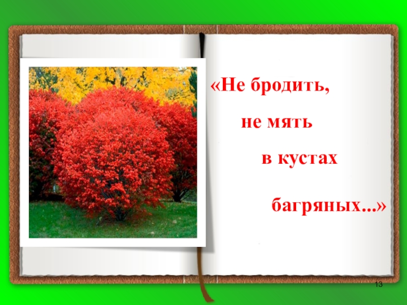 Неуютная жидкая лунность. Не бродить не мять в кустах багряных есенин стих. Не бродить не мять в кустах багряных. Не бродить не мять в кустах багряных есенин стих. Стихотворение не бродить не мять в кустах.
