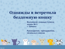 Презентация Бездомные кошкипо окружающему миру