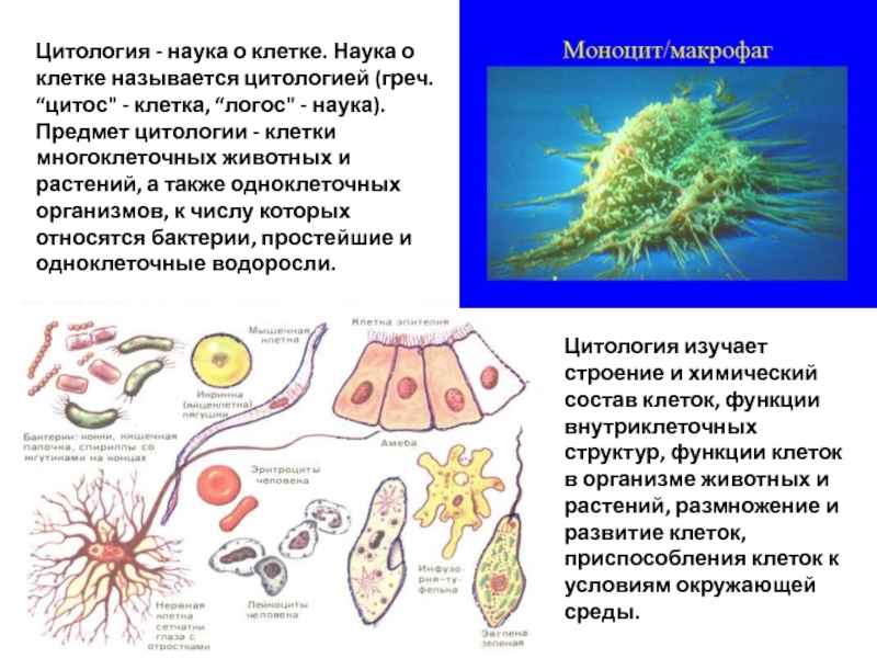 Клеточная наука