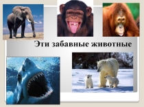 Презентация по теме Имя числительное (обобщение) 6 класс