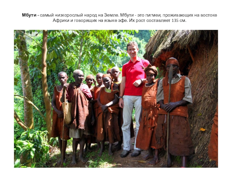 Мбути - самый низкорослый народ на Земле. Мбути - это пигмеи, проживающих на востоке Африки и говорящих