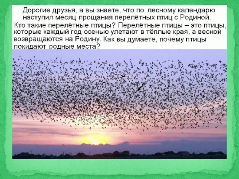 Презентация г снегирев куда улетают птицы на зиму 2 класс