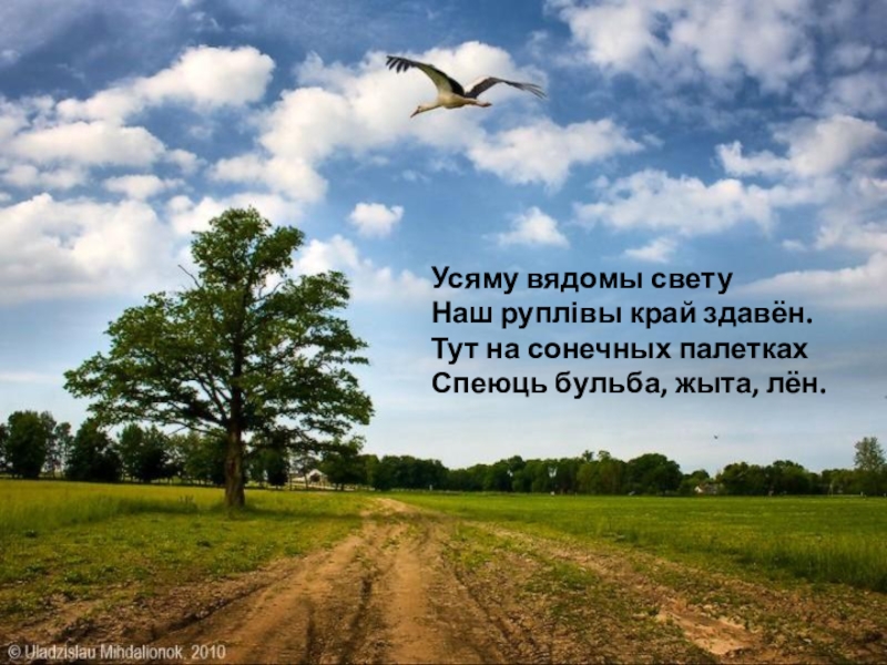 Слушать беларуси. Родны край. Беларусь природа с надписью. Зямля. Мая зямля.