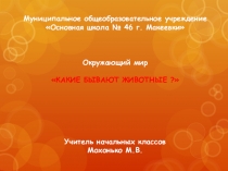 Презентация по окружающему миру Какие бывают животные? (2 класс)
