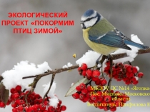 Презенация экологического проекта в младшей группе Покормим птиц зимой