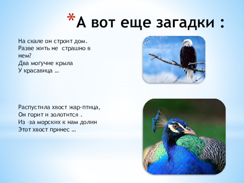 Загадка жар. Загадка про Жар птицу для детей. Загадка про Жар птицу. Сложные загадки про птиц. Загадки про рыб и птиц.