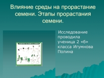 Презентация исследования Влияние среды на развитие растения из семени