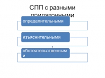 Сложноподчиненнные предложения с придаточными разного вида