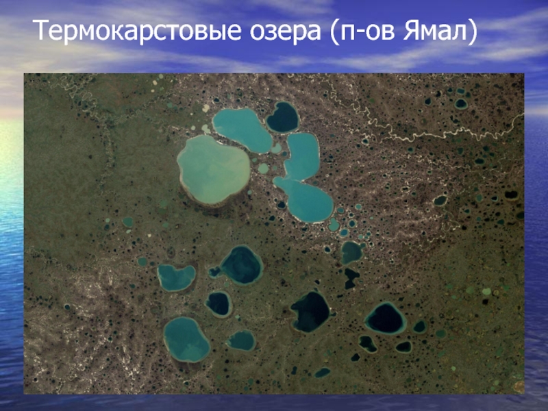 Термокарстовые озера (п-ов Ямал)