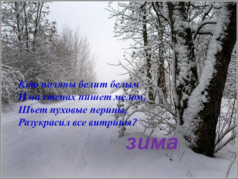 кто поляны белит белым и на стенах пишет мелом. ответ на загадку кто поляны белит белым и на стенах пишет мелом. кто поляны белит белым и на стенах. загадки по временам года.