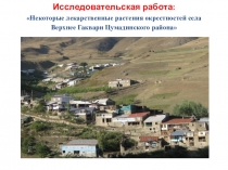 Презентация исследовательской работы: Некоторые лекарственные растения окрестностей села Верхнее Гаквари Цумадинского района
