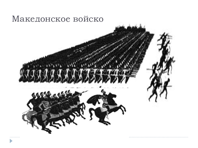 Описание рисунка македонская фаланга