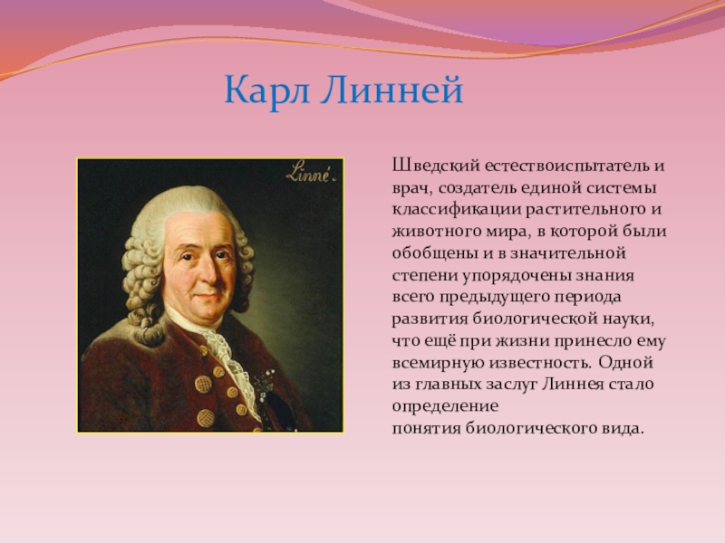 Ученый линней вклад в биологию. Ученый Карл Линней. Карл Линней его вклад в систематику. Карл Линней биология. Карл Линней и роль его исследований в биологии.